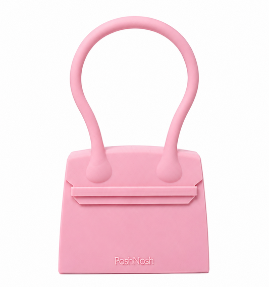 PoshNosh Handbag Snack Container